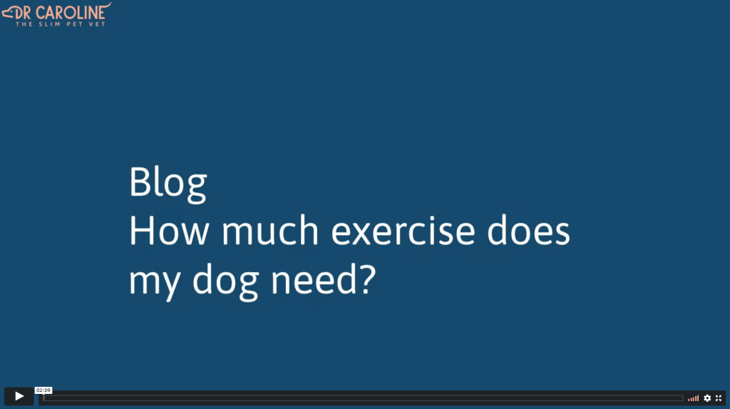 how much exercise